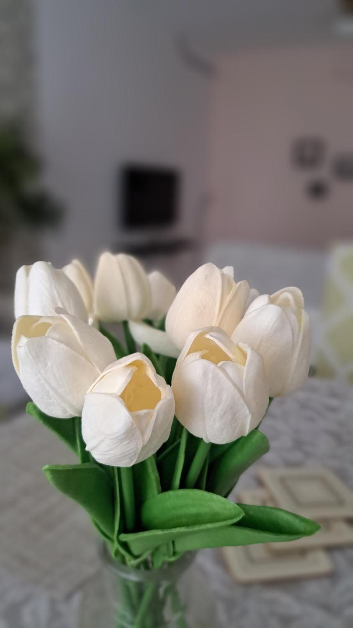 Anthea Gardens - Cosy Condo Πάφος Εξωτερικό φωτογραφία